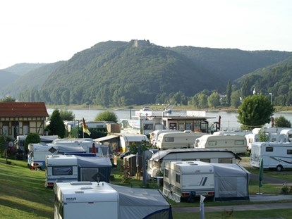 Reisemobilstellplatz - Swimmingpool - Blick auf Burg Rheineck - Wellness-Rheinpark-Camping Bad Hönningen