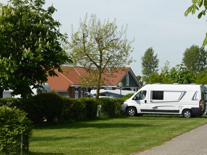 Reisemobilstellplatz - Wohnmobilplätze innen - Rosenfelder Strand Ostsee Camping