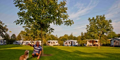 Reisemobilstellplatz - Belgien - camping de Sangershoeve