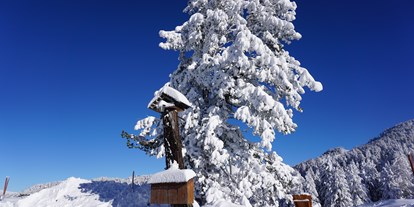 Reisemobilstellplatz - Skilift - Winterwunderland - Bergheim Schmidt Turracher Höhe