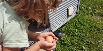 Reisemobilstellplatz - Umgebungsschwerpunkt: Therme(n) - Wenn das Huhn das Ei direkt am Wohnwagen legt - ein besonderes Ereignis! - Naturlandhof Daxlberg
