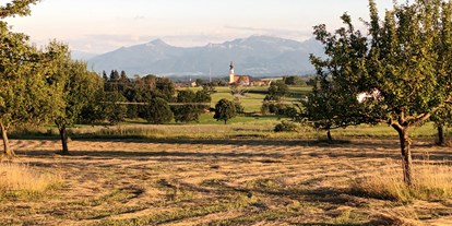 Reisemobilstellplatz - Golf - Heuernte für die Schafe und Hasen - Familienfreundlicher Stellplatz mit Panorama-Bergblick 