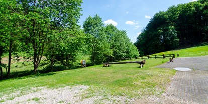 Reisemobilstellplatz - Reiten - Stellplätze Am Melbeckebach - Naturcampingstellplätze auf dem Ferienhof Verse im Sauerland.