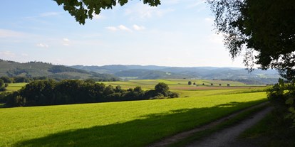 Reisemobilstellplatz - Reiten - Natur Pur im Melbecketal. - Naturcampingstellplätze auf dem Ferienhof Verse im Sauerland.
