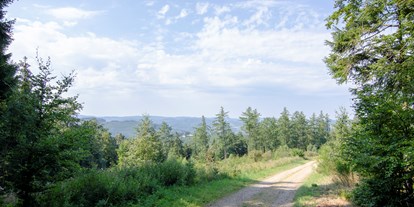 Reisemobilstellplatz - Reiten - Herrliche Wander und Fahrradwege - Naturcampingstellplätze auf dem Ferienhof Verse im Sauerland.