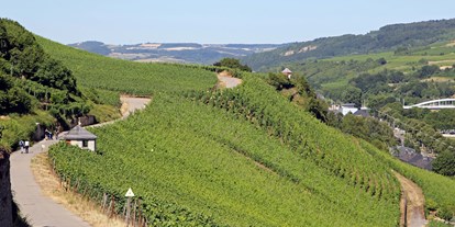 Reisemobilstellplatz - Luxemburg - Wandermöglichkeiten  - Camping route du vin Grevenmacher