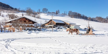 Reisemobilstellplatz - Skilift - Wintercamping ist bei uns auch möglich. - Wohnmobilstellplatz Stegerbauer