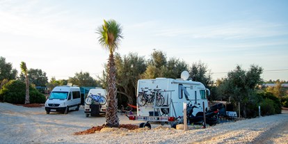 Reisemobilstellplatz - Portugal - Ein Teil unseres Campingplatzes  - Oasis Camp