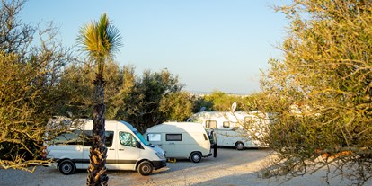 Reisemobilstellplatz - Portugal - Oasis Camp