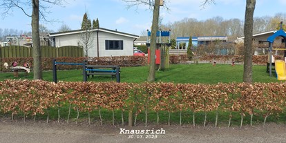 Reisemobilstellplatz - Zijdewind Holland - Camping 't Venhop