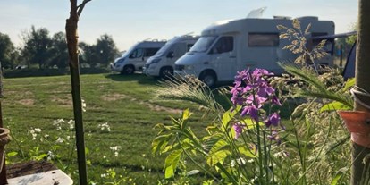 Reisemobilstellplatz - Belgien - Camping de Boogaard