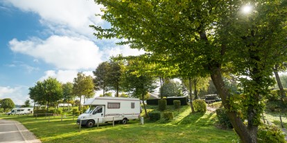 Reisemobilstellplatz - Belgien - Camping Worriken Campingpitch - Camping Worriken