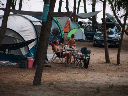 Reisemobilstellplatz - Swimmingpool - Tent pitch - MCM Camping