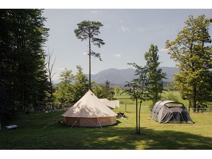 Reisemobilstellplatz - Slowenien - Part of our meadow with mountain view. - Forest Camping Mozirje