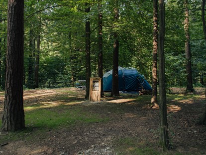 Reisemobilstellplatz - Slowenien - Forest area pitches - Forest Camping Mozirje