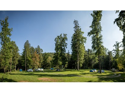 Reisemobilstellplatz - Slowenien - Part of our Forest camping Mozirje - Forest Camping Mozirje