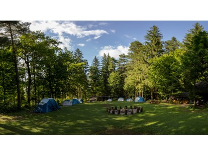 Reisemobilstellplatz - Slowenien - Our main meadow with rental equipped tents. - Forest Camping Mozirje