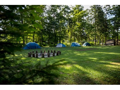 Reisemobilstellplatz - Slowenien - Our main meadow with rental equipped tents. - Forest Camping Mozirje