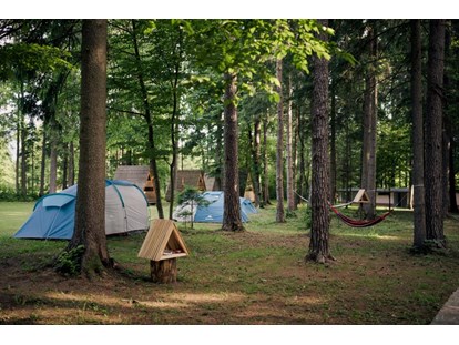 Reisemobilstellplatz - Slowenien - Part of chill out place - Forest Camping Mozirje