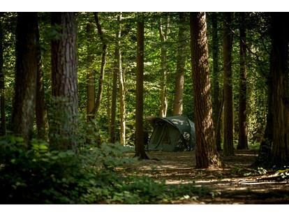 Reisemobilstellplatz - Slowenien - Part of our woods - Forest Camping Mozirje