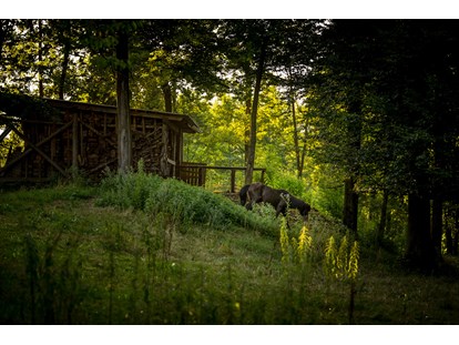Reisemobilstellplatz - Slowenien - Part of our animal park - Forest Camping Mozirje