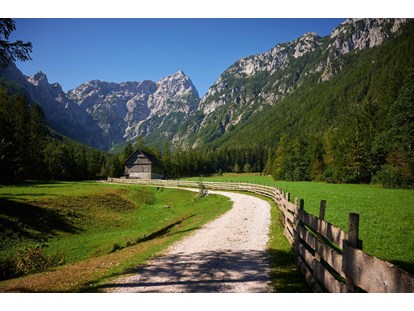 Reisemobilstellplatz - Slowenien - Surrounding points of interest - Forest Camping Mozirje