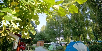 Reisemobilstellplatz - Therme - Barack Thermal Camping Tiszakécske