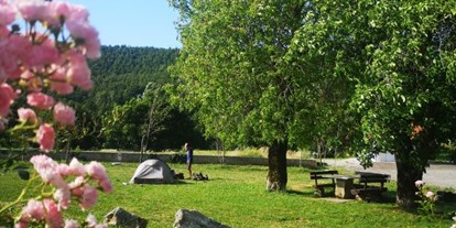 Reisemobilstellplatz - Slowenien - Camp Mirjam