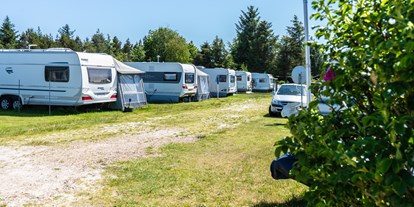 Reisemobilstellplatz - Dänemark - Stjerne Camping
