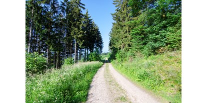 Reisemobilstellplatz - Nordrhein-Westfalen - Herrliche Wander und Fahrradwege - Naturcampingstellplätze auf dem Ferienhof Verse im Sauerland.