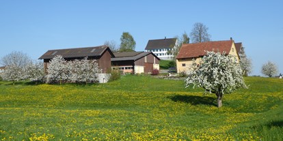 Reisemobilstellplatz - St. Gallen - Eggerhof im Frühling - Eggerhof