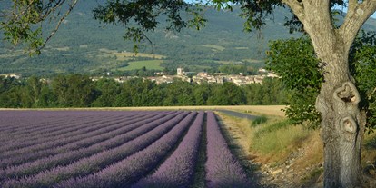 Reisemobilstellplatz - Frankreich - Lavendelfelder - Camping Les Myotis